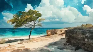 Aruba 2024